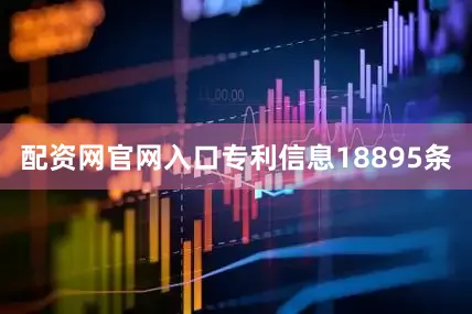 配资网官网入口专利信息18895条