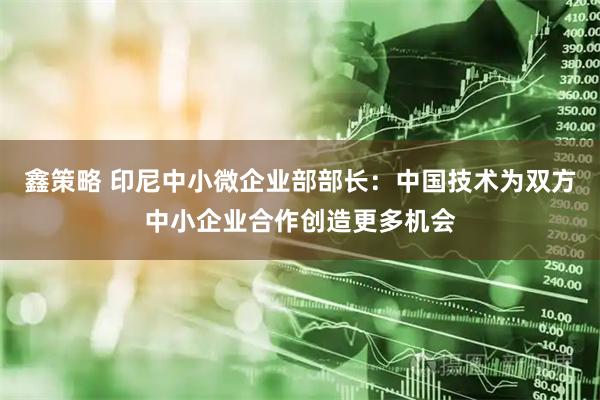 鑫策略 印尼中小微企业部部长：中国技术为双方中小企业合作创造更多机会